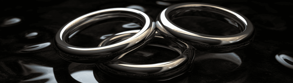 Platin Ringe und Palladium ringe 2 Platin Ringe & Palladium Ringe svg%3E